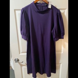 Ann Taylor size 16 purple dress with Puffy sleeves. Brand new